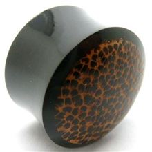 Horn Flesh Plug with inlaid wood