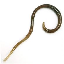 Mini-Stretching - Open Ear Spiral