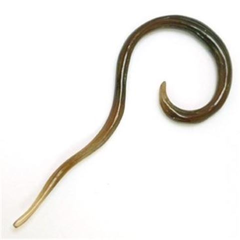 Minidilatador espiral abierta