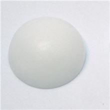 PTFE Implant