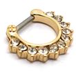 Septum SEPA3. Jewel