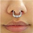 Septum SEPA21. Joya