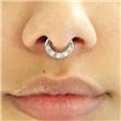 Septum SEPA23. Joya