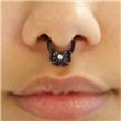 Septum SEPA25. RIBBON