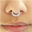 Septum SEPA27. Joya