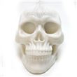 Calavera de silicona