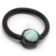 Black BCR with Opal Disc