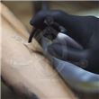 STENCIL PREMIUM Gel