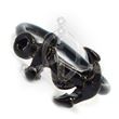 ANCHOR Black Ring Stud