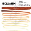 Perma Blend SQUASH Labios (43)