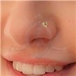 Nostril Ethnic Heart