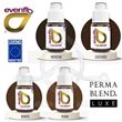 Perma-Blend Luxe EYEBROWS Set - BLONDE 2 BRUNETTE - Evenflo