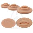 Labio Silicona 3D para prácticas