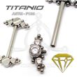 Titanium Jewelry and Balls Nipple Shield