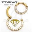 Segmented jewelry hoop – GOLD (2)