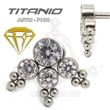 Labret 4 JOYAS con Bolas - Titanio