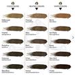Biotek Color Chart - Eyebrows
