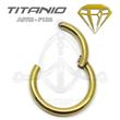 Segmented Ring Hinge GOLD - ANODIZED TTANIUM