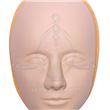 Piel Facial 3D prácticas