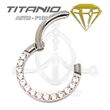 Segmented jewelry hoop