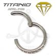 Segmented jewelry hoop