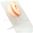 Silicone EAR Display - Right