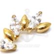 Replacement Jewelry and Ovals - Gold (pvd)