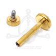 MULTIJOYA Labret - Gold steel (PVD)