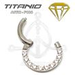Segmented Septum Hoop - Cubic Zirconia