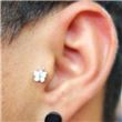 Tragus Mariposa-1