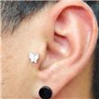 Tragus Mariposa-2