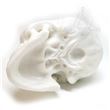 Calavera de silicona