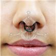 Alien Septum SEPA36-N