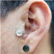 Tragus Margarita 46