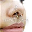 Ethnic Septum SEPA38