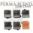 KIT Capilar Perma Blend
