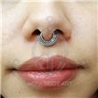 Segmented ring bar with balls