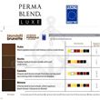 Perma-Blend Luxe EYEBROWS Set - BLONDE 2 BRUNETTE - Evenflo