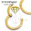 Segmented jewelry hoop – GOLD