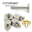 Labret 4 JEWELS with Balls - Titanium