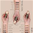 Biotek Color Chart - Eyebrows
