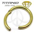 Segmented Ring Hinge GOLD - ANODIZED TTANIUM