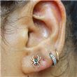 SPIDER replacement. Internal Thread - GOLD (Pvd)