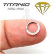 Segmented Septum Hoop - Cubic Zirconia