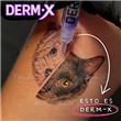 DERM-X - Tattoo Protector