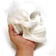 Calavera de silicona