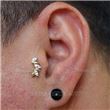 Replacement Jewelry and Ovals - Gold (pvd)