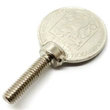 Locking screws coin