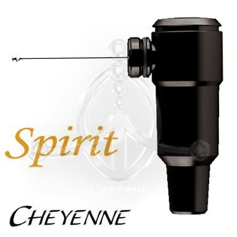 Cheyenne Hawk SPIRIT