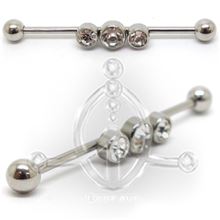 Industrial Barbell with 3 Jewels
